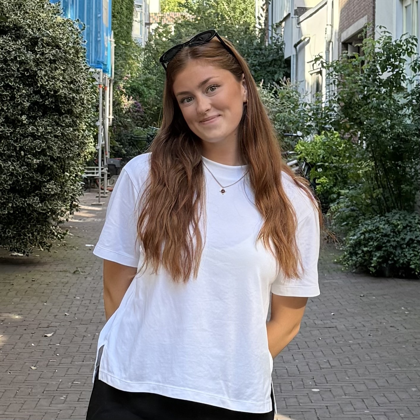 IMG 4936 3