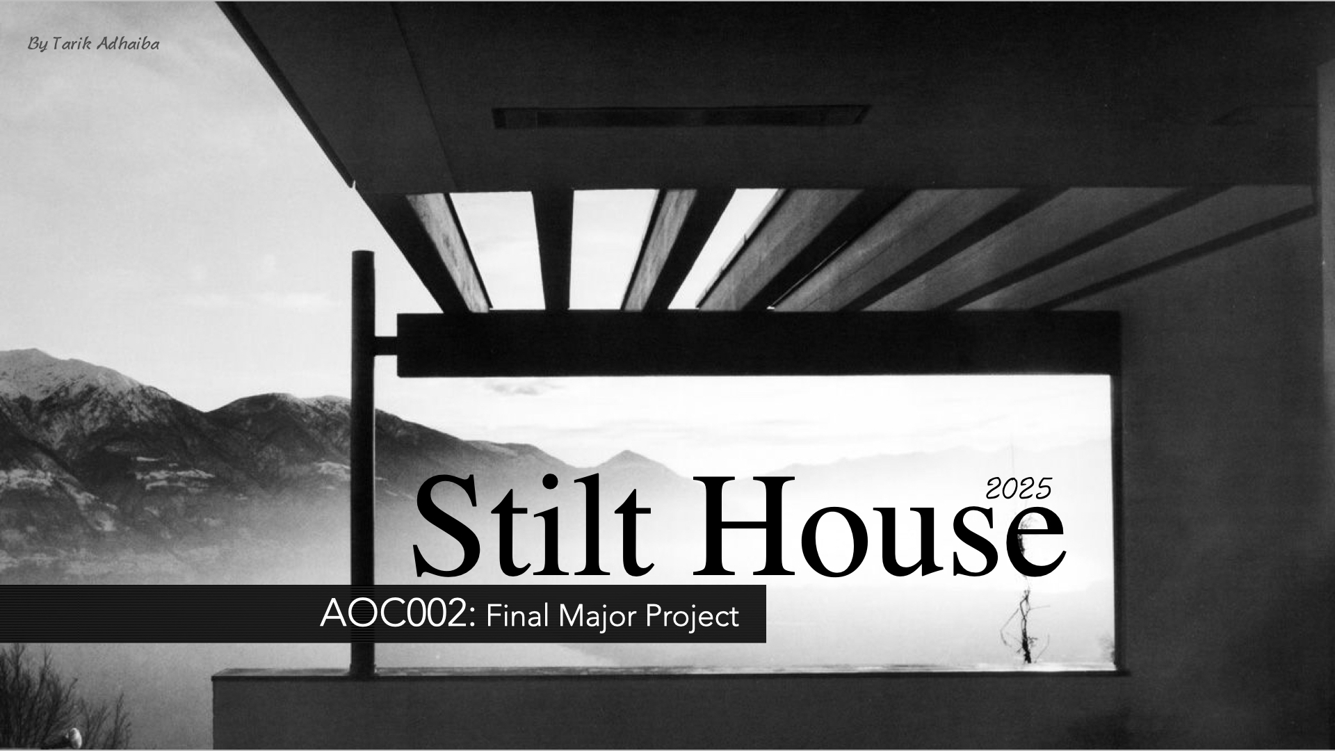 Stilts house new 001