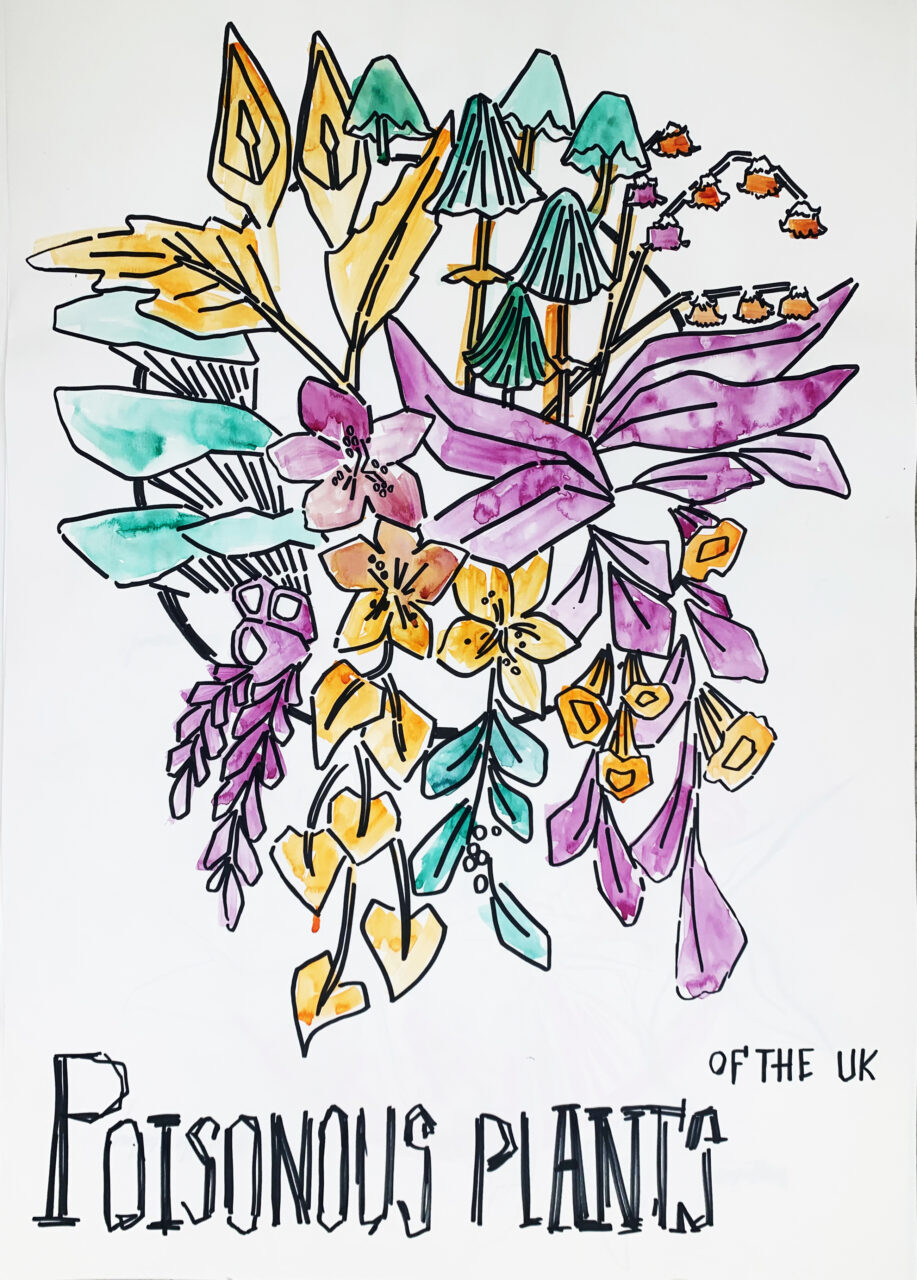 UCLan Degree Show artwork submission by Charlotte Woods named Poisonous Plants Of The UK