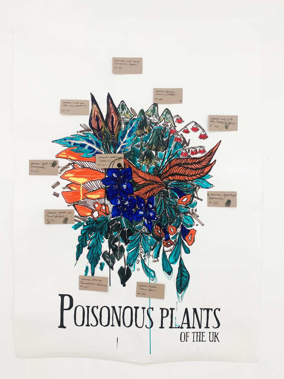 UCLan Degree Show artwork submission by Charlotte Woods named Poisonous Plants Of The UK