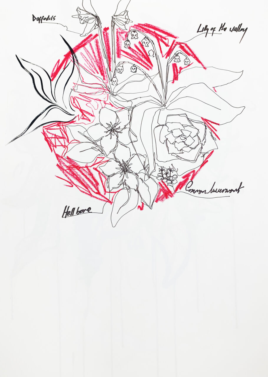 UCLan Degree Show artwork submission by Charlotte Woods named Poisonous Plants Of The UK