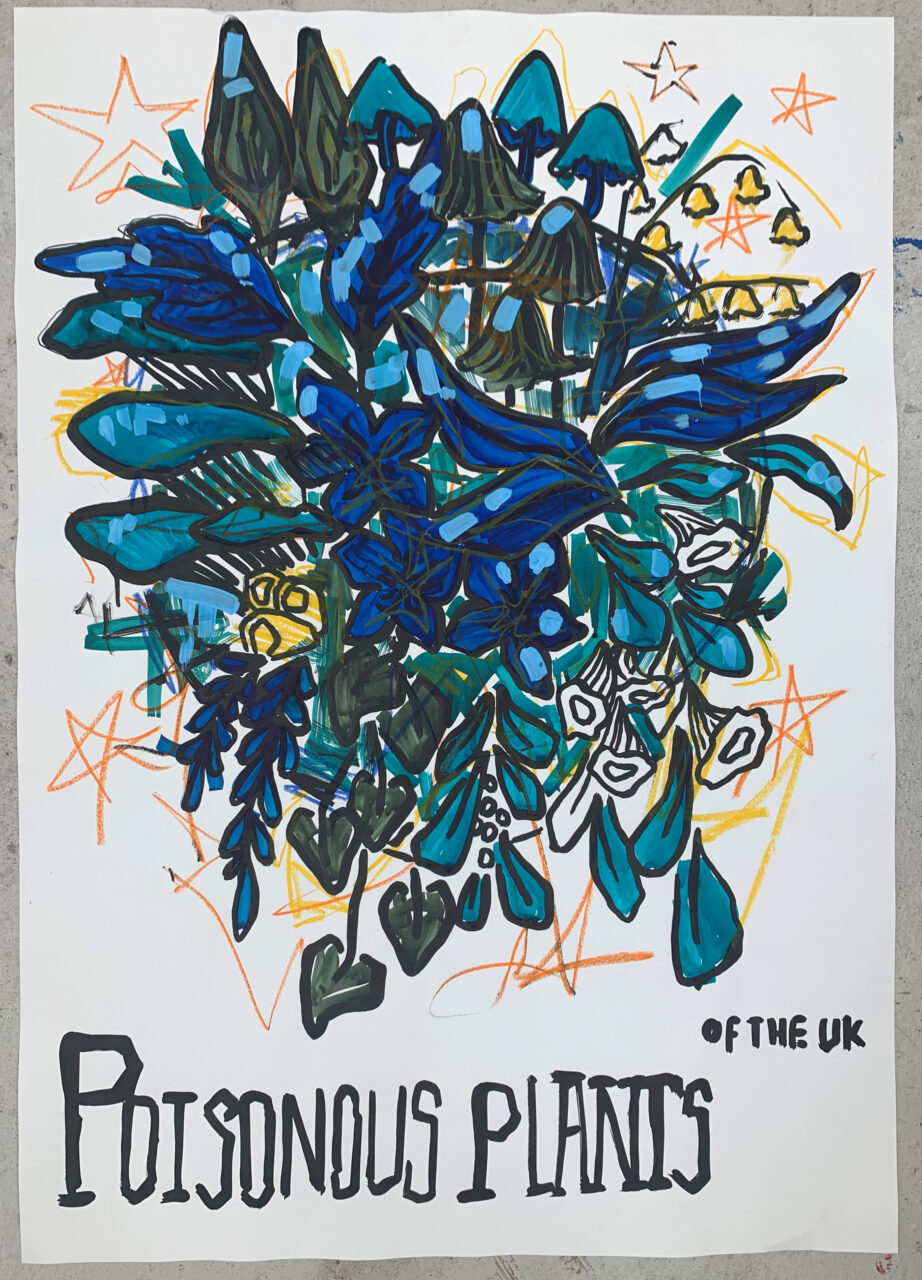 UCLan Degree Show artwork submission by Charlotte Woods named Poisonous Plants Of The UK
