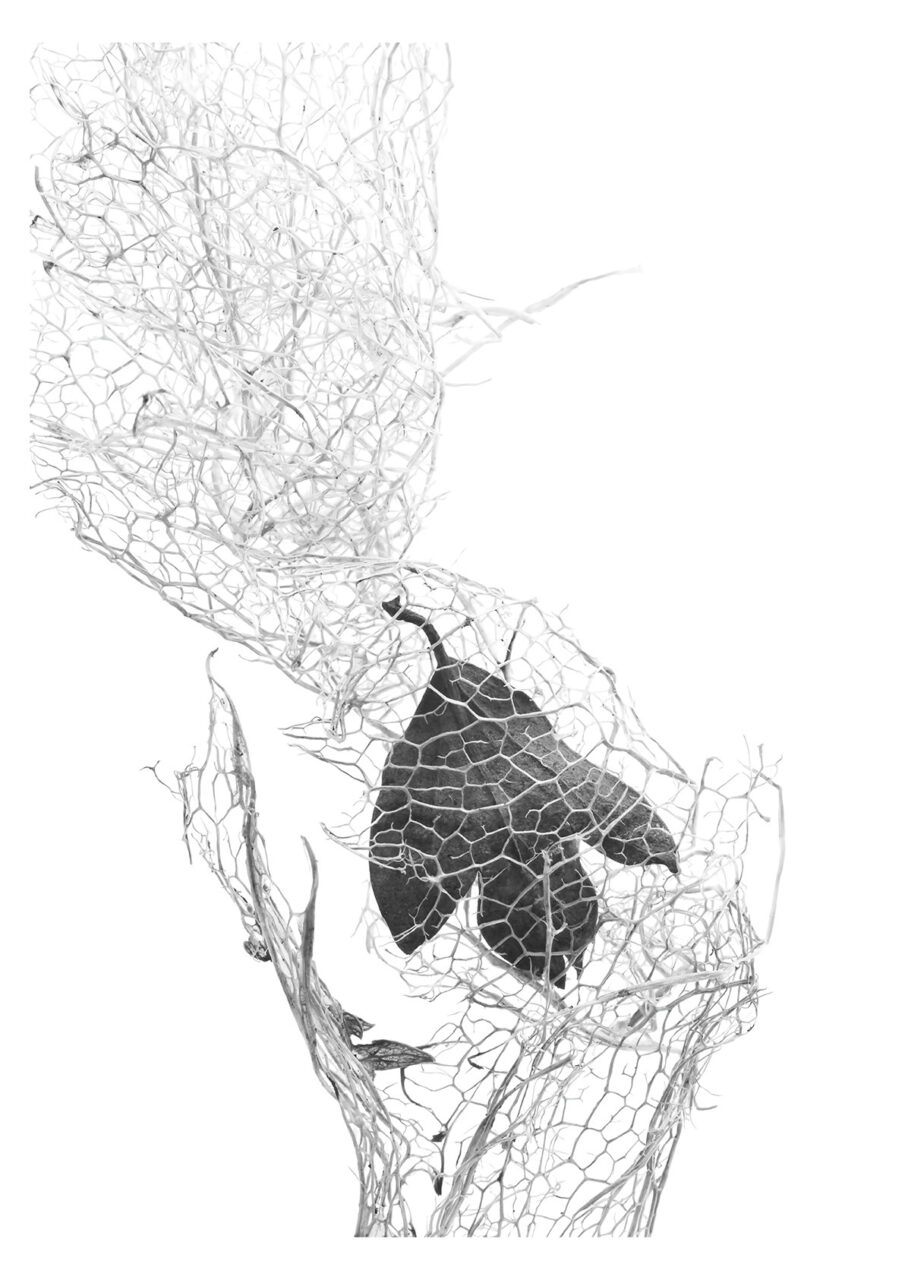 UCLan Degree Show artwork submission by Claire Green named Healing