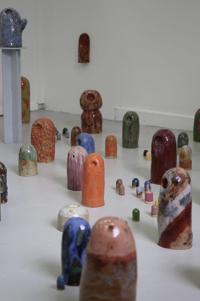UCLan Degree Show artwork submission by Genevieve Lloyd named Anonymous Harm