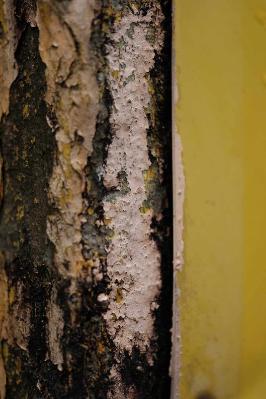 UCLan Degree Show artwork submission by Hannah Greenbank named fragments