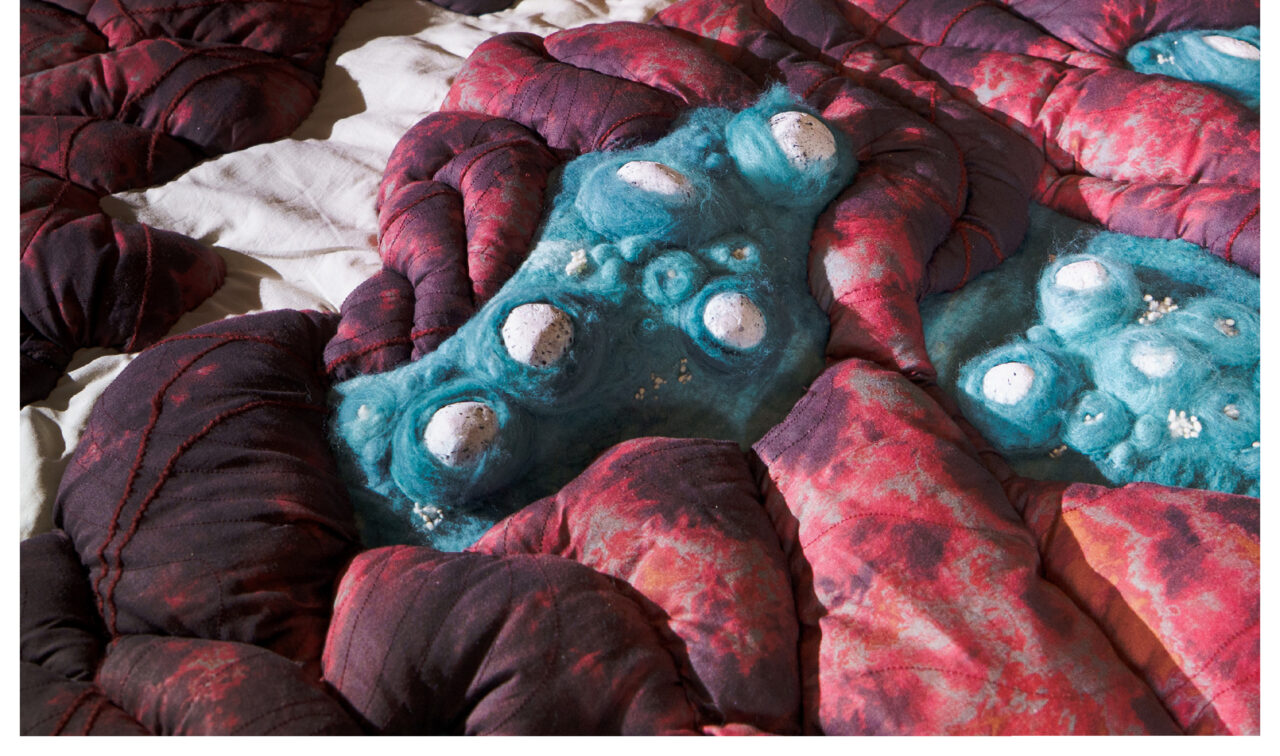 UCLan Degree Show artwork submission by Lucy Fletcher named The Undesirable to the Desirable