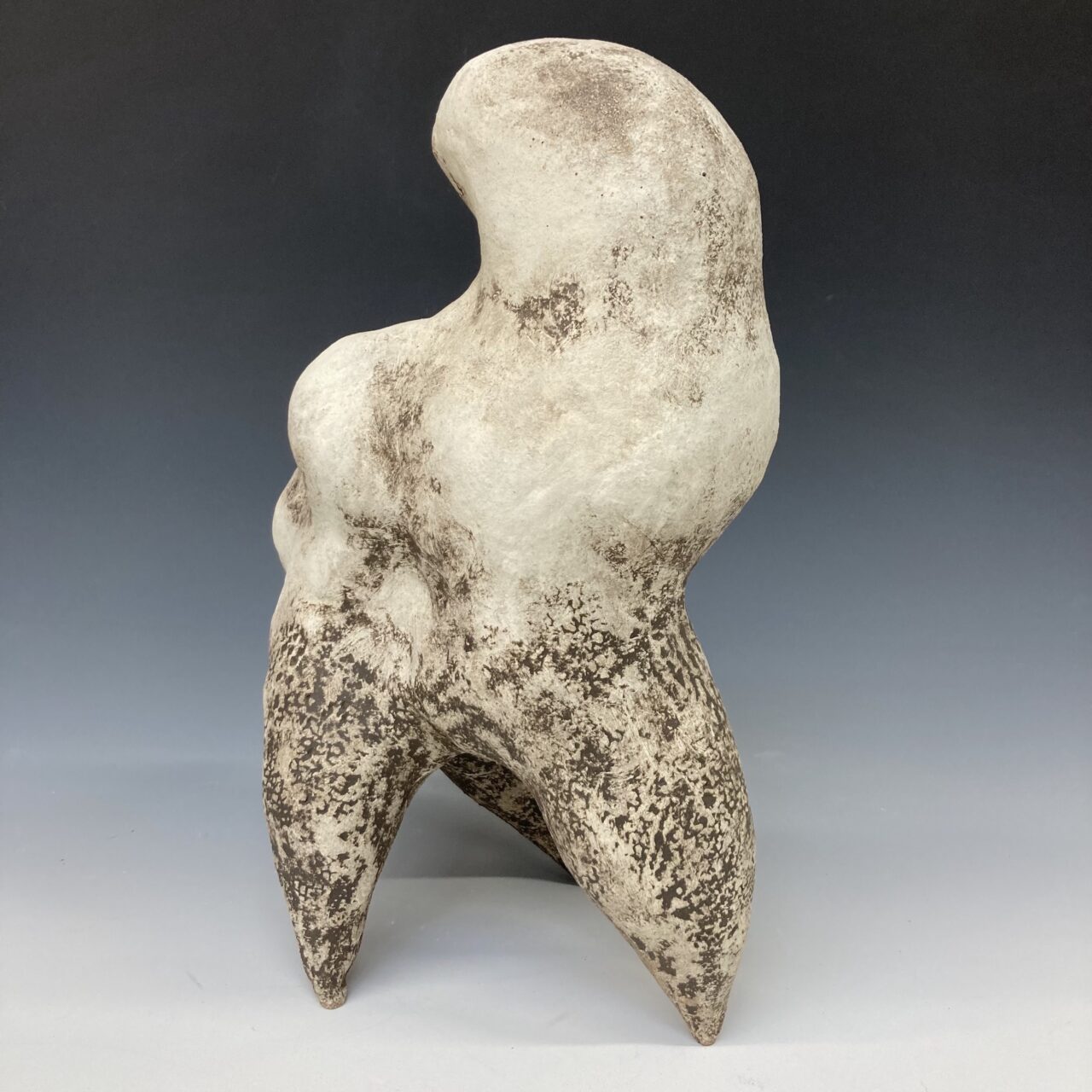 UCLan Degree Show artwork submission by Lucy Hope named Metamorphosis: Intuition of the Hag