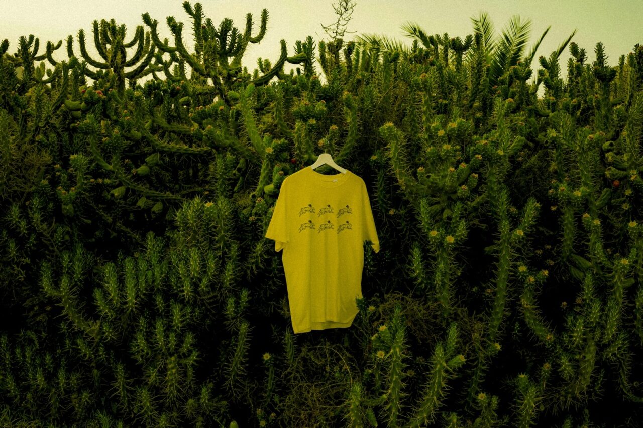 UCLan Degree Show artwork submission by Luke Johnson named Leisurely